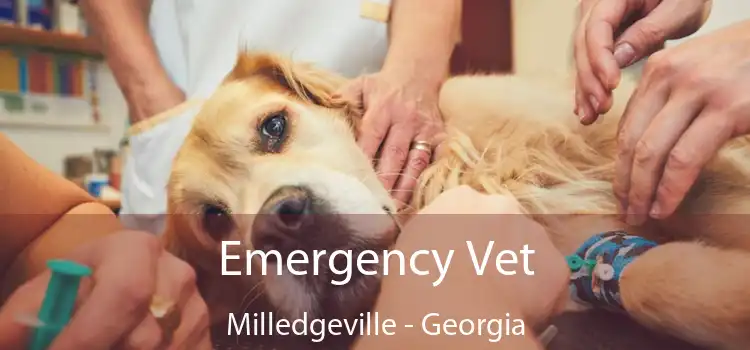 Emergency Vet Milledgeville - Georgia