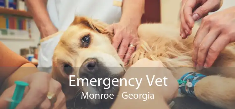 Emergency Vet Monroe - Georgia