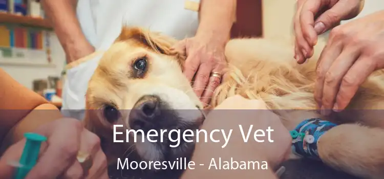 Emergency Vet Mooresville - Alabama