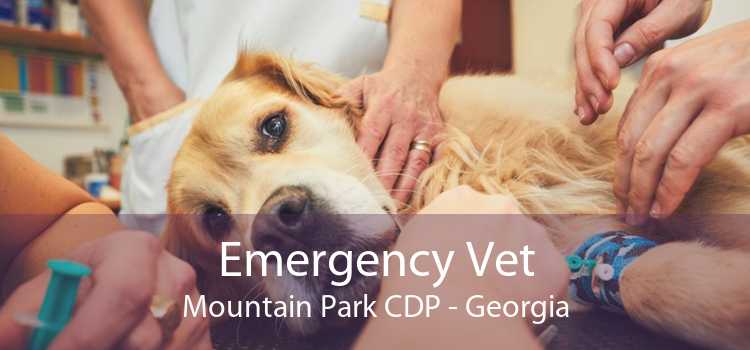 Emergency Vet Mountain Park CDP - Georgia