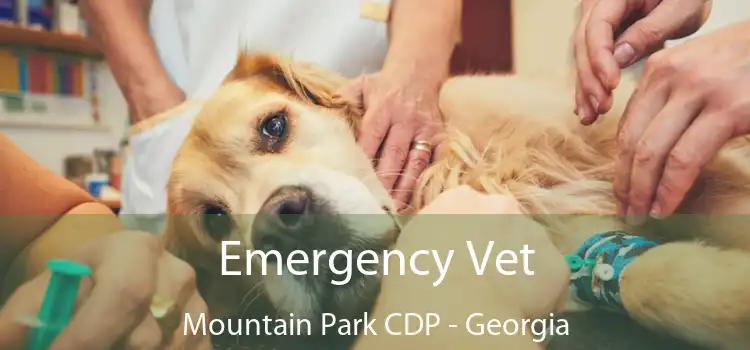 Emergency Vet Mountain Park CDP - Georgia