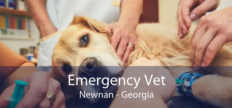 Emergency Vet Newnan - Georgia