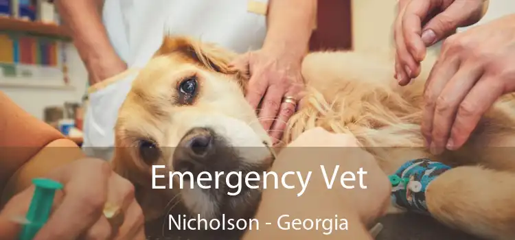 Emergency Vet Nicholson - Georgia