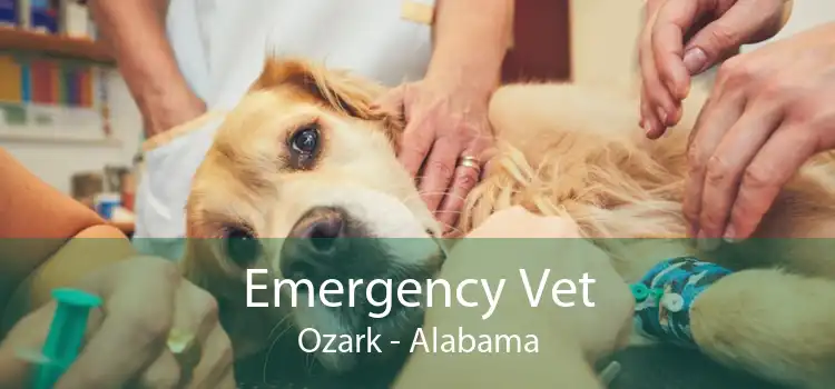 Emergency Vet Ozark - Alabama