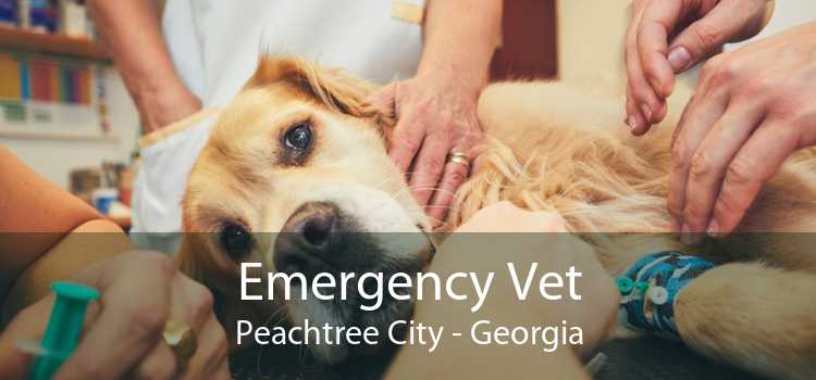 Emergency Vet Peachtree City - Georgia