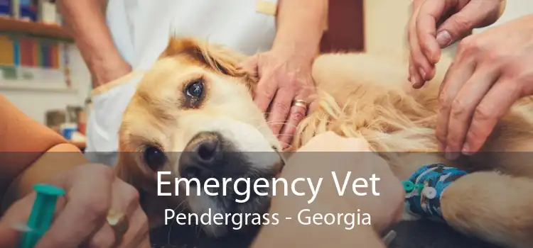 Emergency Vet Pendergrass - Georgia