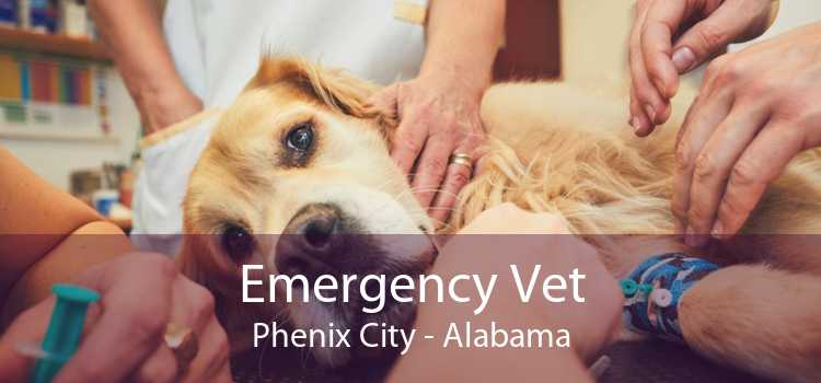 Emergency Vet Phenix City - Alabama