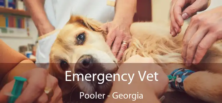 Emergency Vet Pooler - Georgia