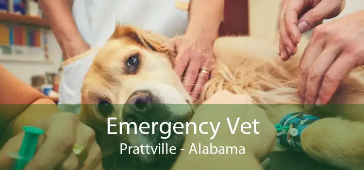 Emergency Vet Prattville - Alabama