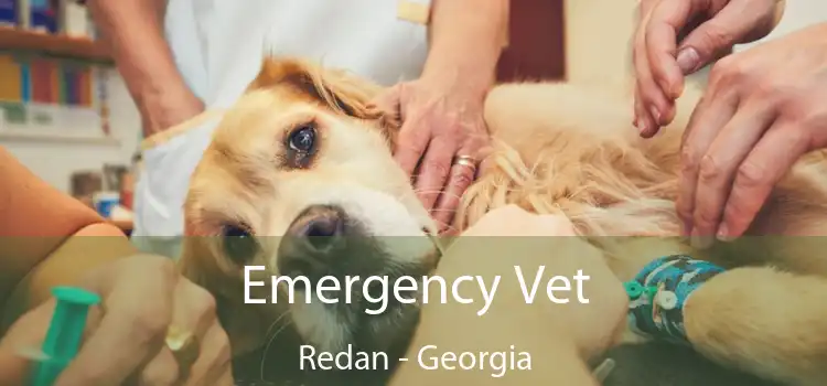 Emergency Vet Redan - Georgia