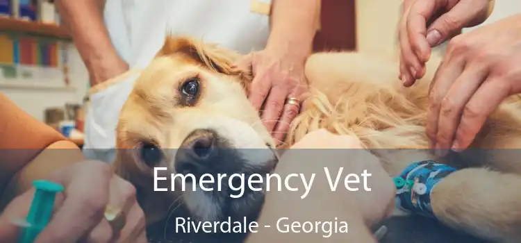 Emergency Vet Riverdale - Georgia