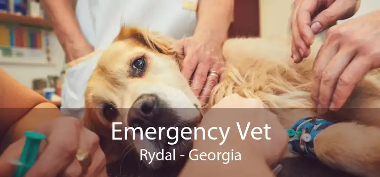 Emergency Vet Rydal - Georgia
