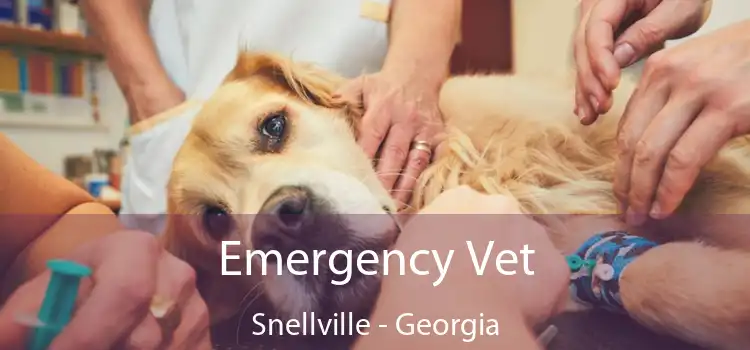 Emergency Vet Snellville - Georgia