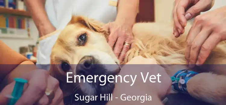 Emergency Vet Sugar Hill - Georgia