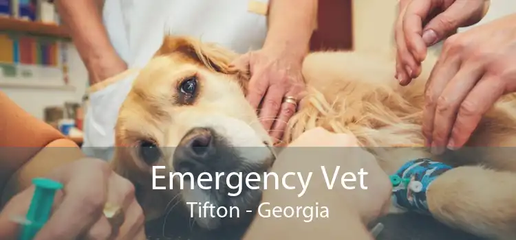 Emergency Vet Tifton - Georgia