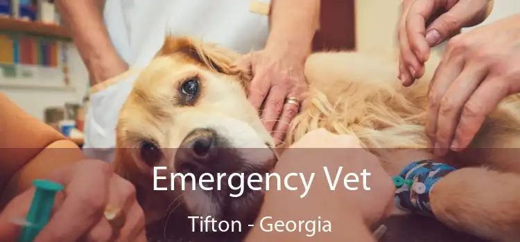 Emergency Vet Tifton - Georgia