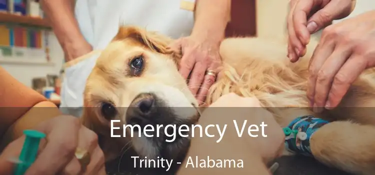Emergency Vet Trinity - Alabama