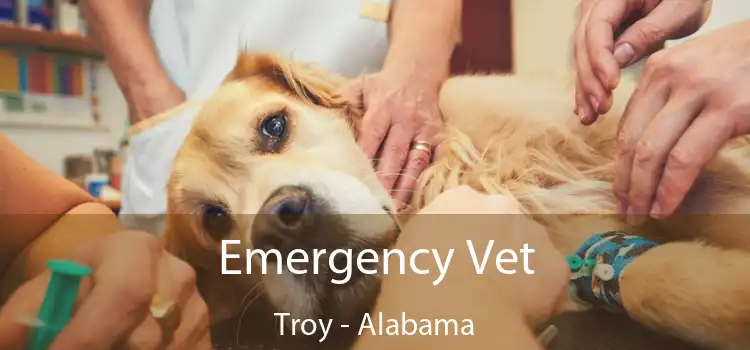 Emergency Vet Troy - Alabama