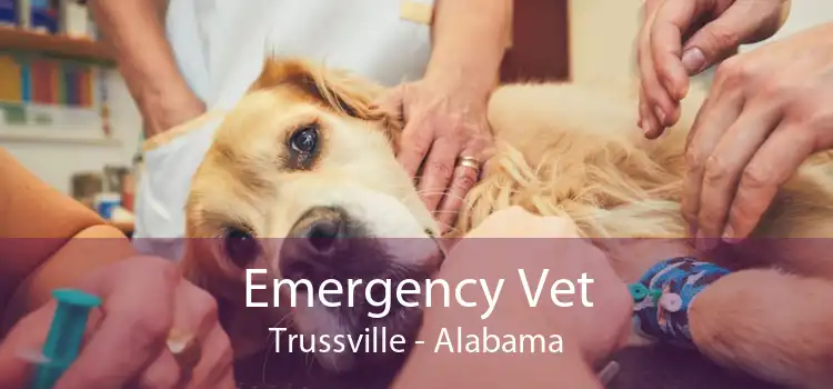 Emergency Vet Trussville - Alabama