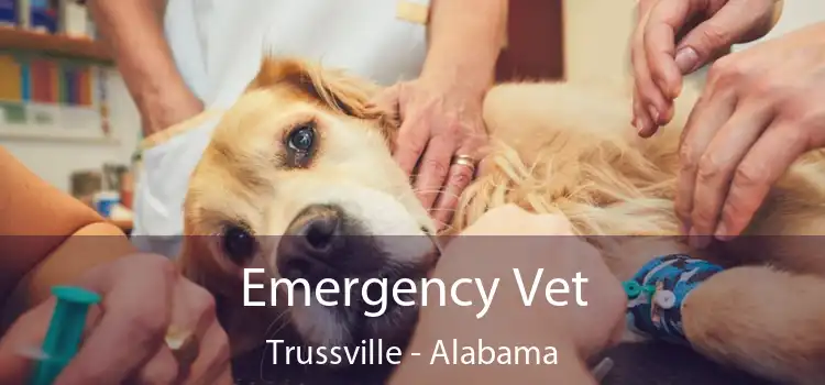 Emergency Vet Trussville - Alabama