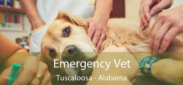 Emergency Vet Tuscaloosa - Alabama
