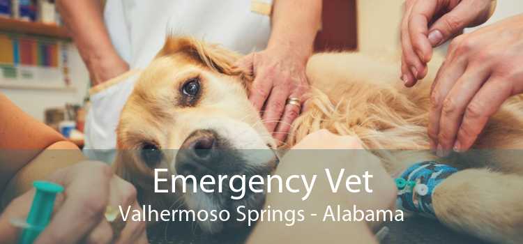 Emergency Vet Valhermoso Springs - Alabama