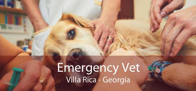 Emergency Vet Villa Rica - Georgia