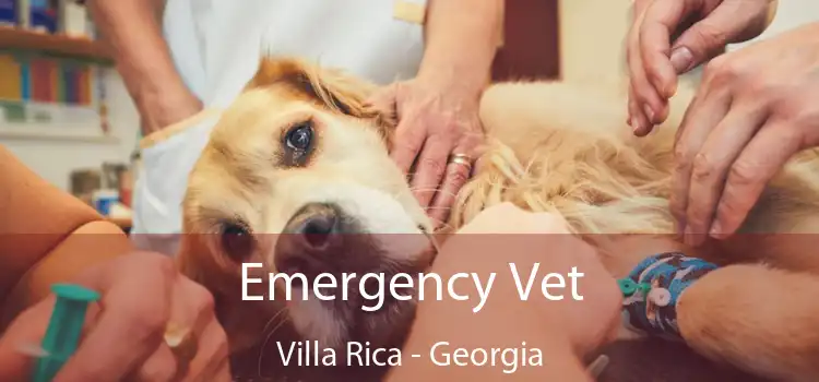 Emergency Vet Villa Rica - Georgia