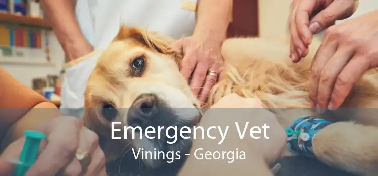 Emergency Vet Vinings - Georgia