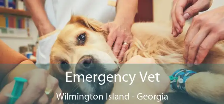 Emergency Vet Wilmington Island - Georgia