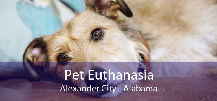 Pet Euthanasia Alexander City - Alabama