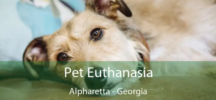 Pet Euthanasia Alpharetta - Georgia