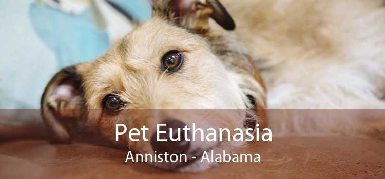 Pet Euthanasia Anniston - Alabama