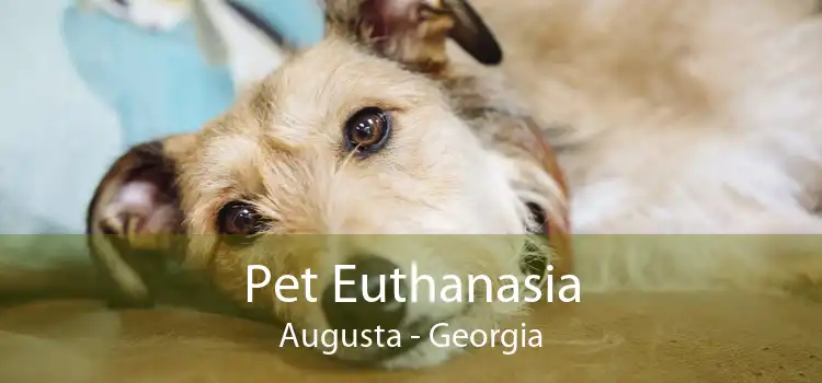 Pet Euthanasia Augusta - Georgia