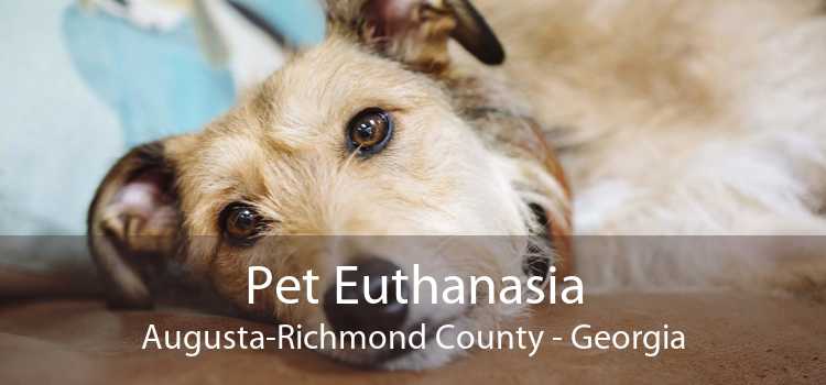 Pet Euthanasia Augusta-Richmond County - Georgia