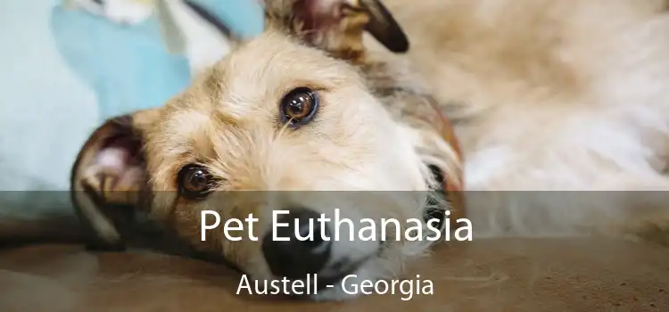 Pet Euthanasia Austell - Georgia