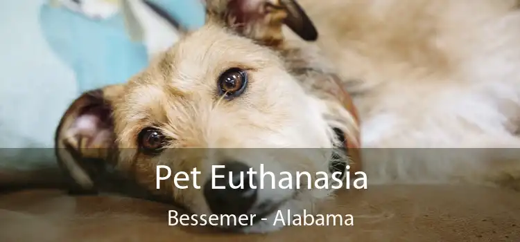 Pet Euthanasia Bessemer - Alabama