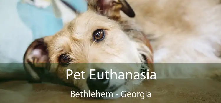 Pet Euthanasia Bethlehem - Georgia