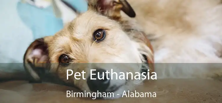 Pet Euthanasia Birmingham - Alabama