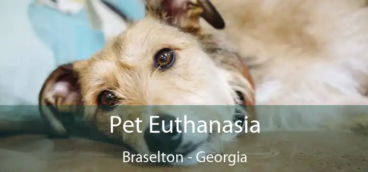 Pet Euthanasia Braselton - Georgia