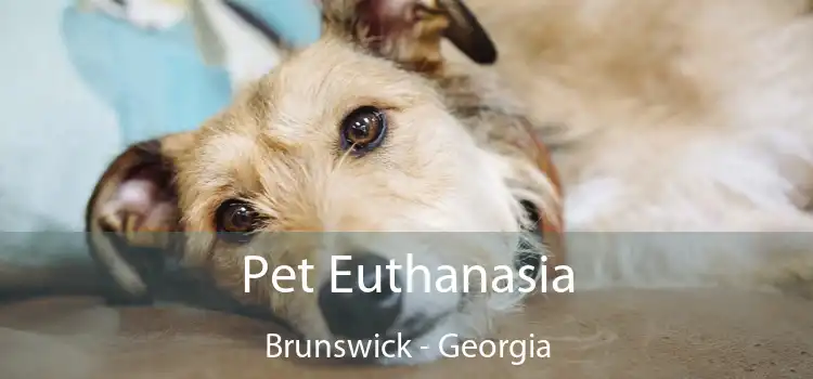 Pet Euthanasia Brunswick - Georgia