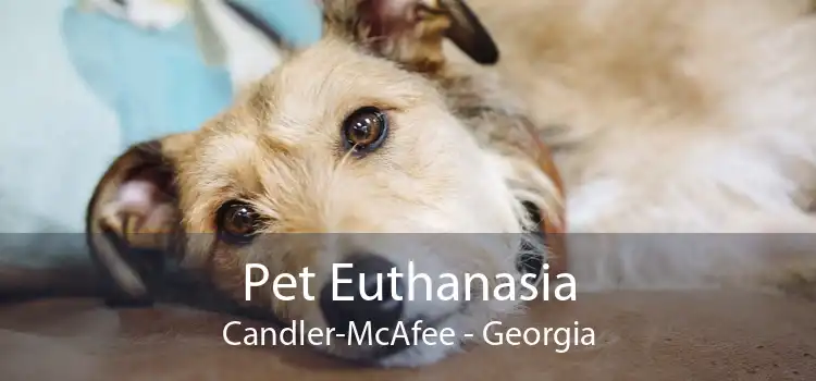 Pet Euthanasia Candler-McAfee - Georgia