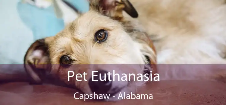 Pet Euthanasia Capshaw - Alabama