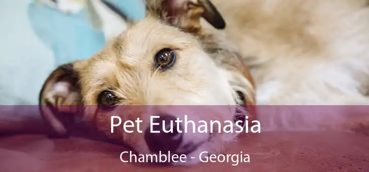 Pet Euthanasia Chamblee - Georgia