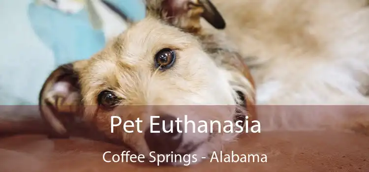 Pet Euthanasia Coffee Springs - Alabama