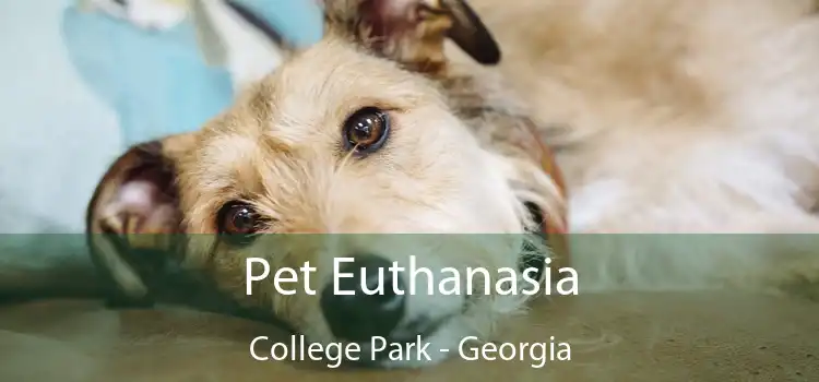 Pet Euthanasia College Park - Georgia