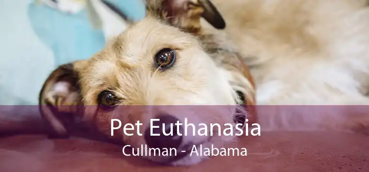 Pet Euthanasia Cullman - Alabama