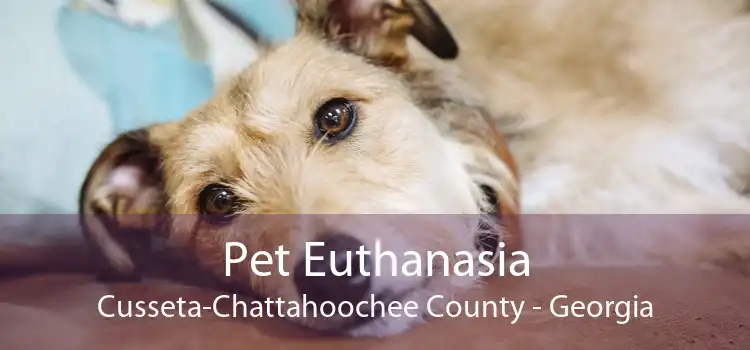 Pet Euthanasia Cusseta-Chattahoochee County - Georgia