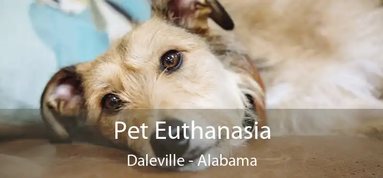 Pet Euthanasia Daleville - Alabama