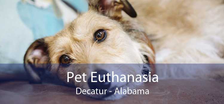 Pet Euthanasia Decatur - Alabama